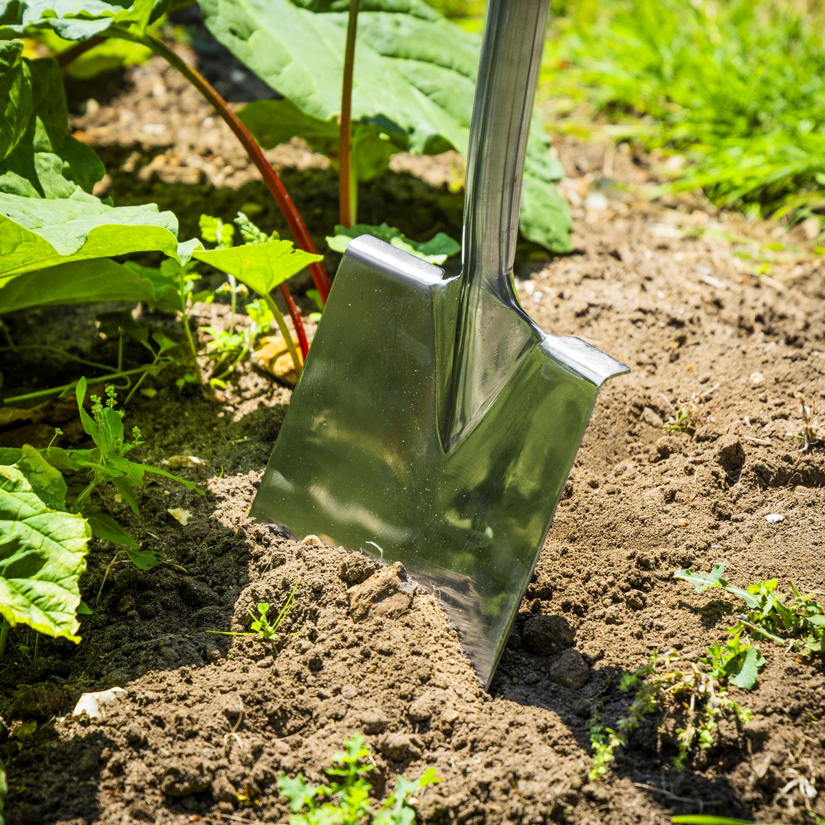 Sealey Premier Digging Spade with Ash Y Handle & Stainless Steel Blade  White Rose Tools