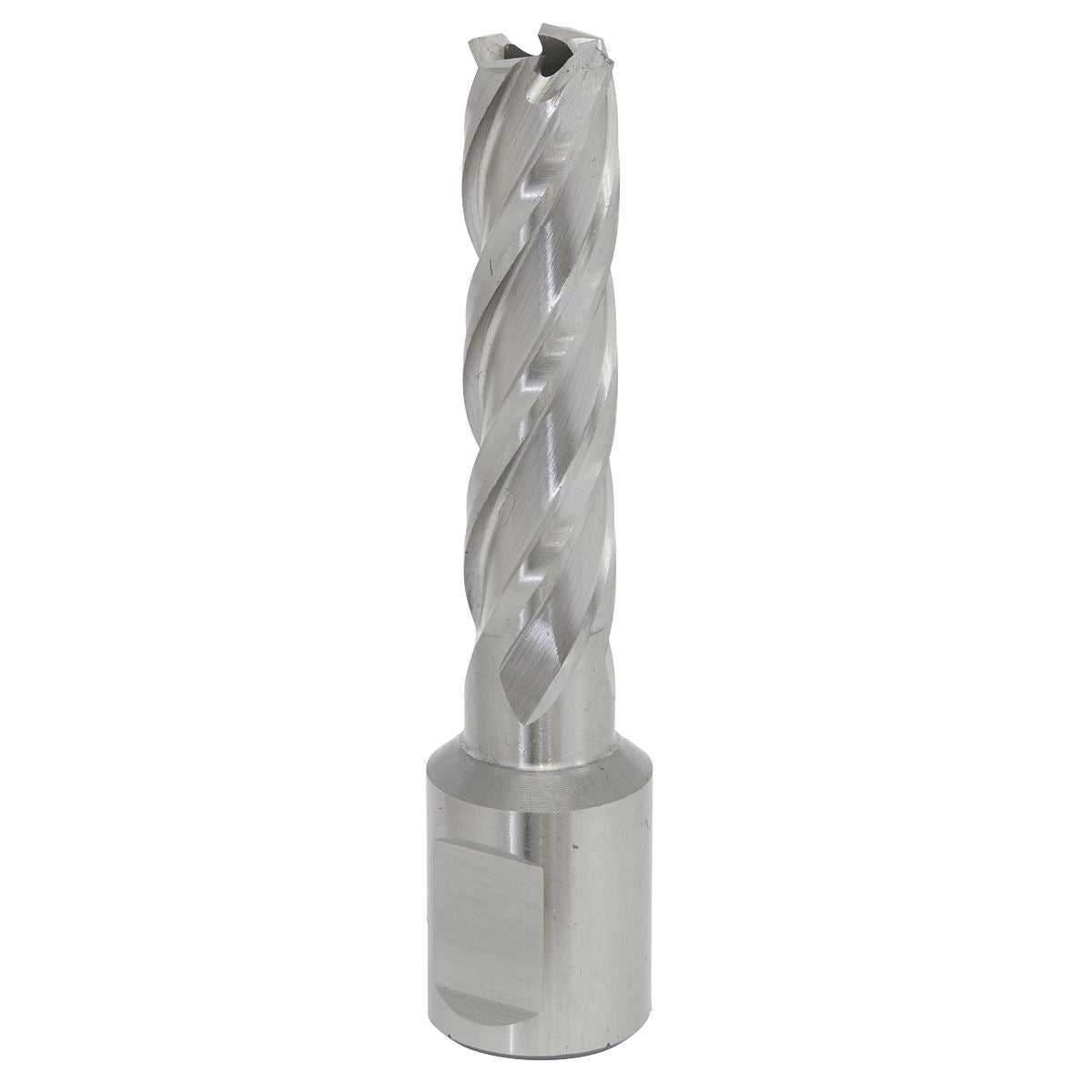 Worksafe by Sealey Mag Drill Bit HSS Ø13mm - Cut Depth 50mm 