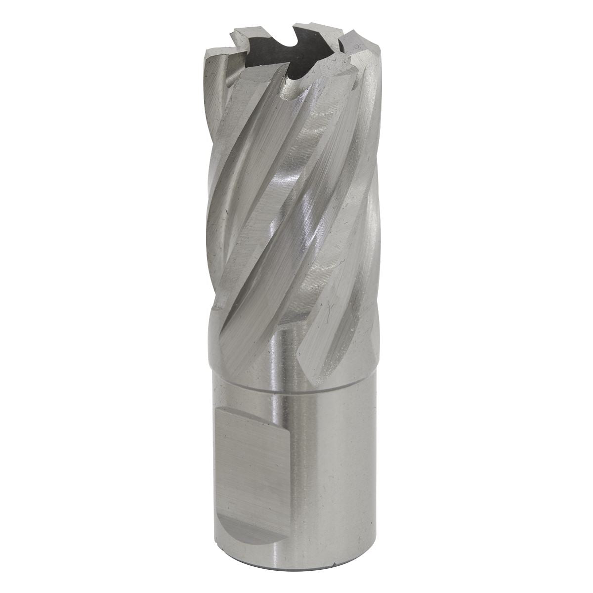 Worksafe by Sealey Mag Drill BitHSS Ø21mm - Cut Depth 25mm 