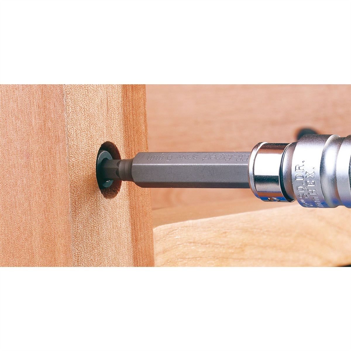 Draper Expert TX-STAR® Hex. & Spline Mechanics Bit Set 3/8 1/2" Sq. Dr. (40 Piece) 33322  White Rose Tools