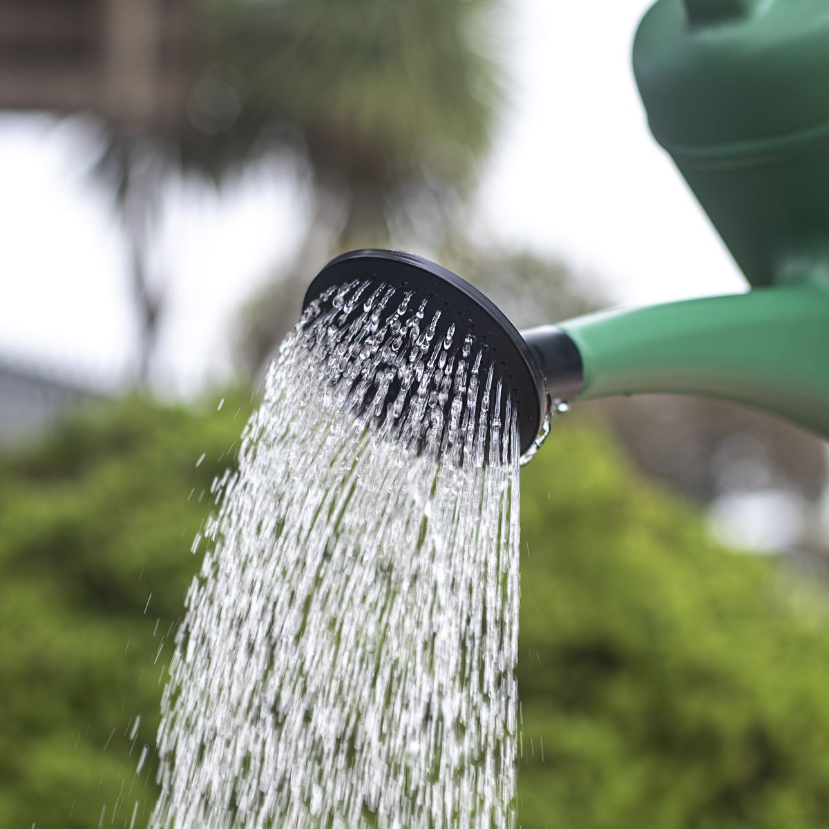 Sealey Plastic Watering Can 10L