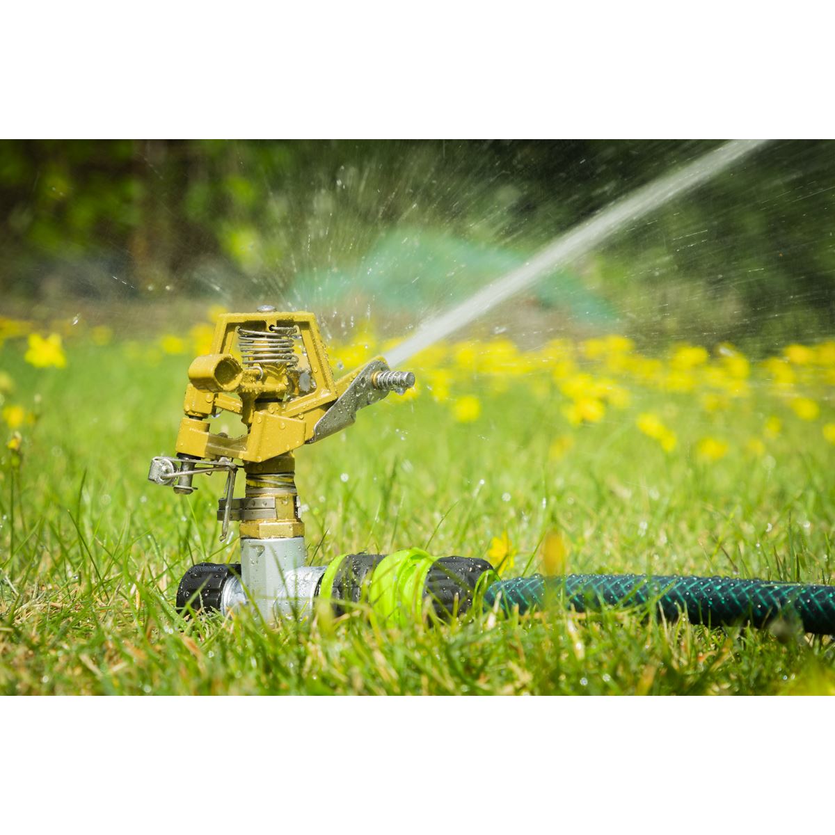 Sealey Pulsating Water Sprinkler on Metal Spike  White Rose Tools