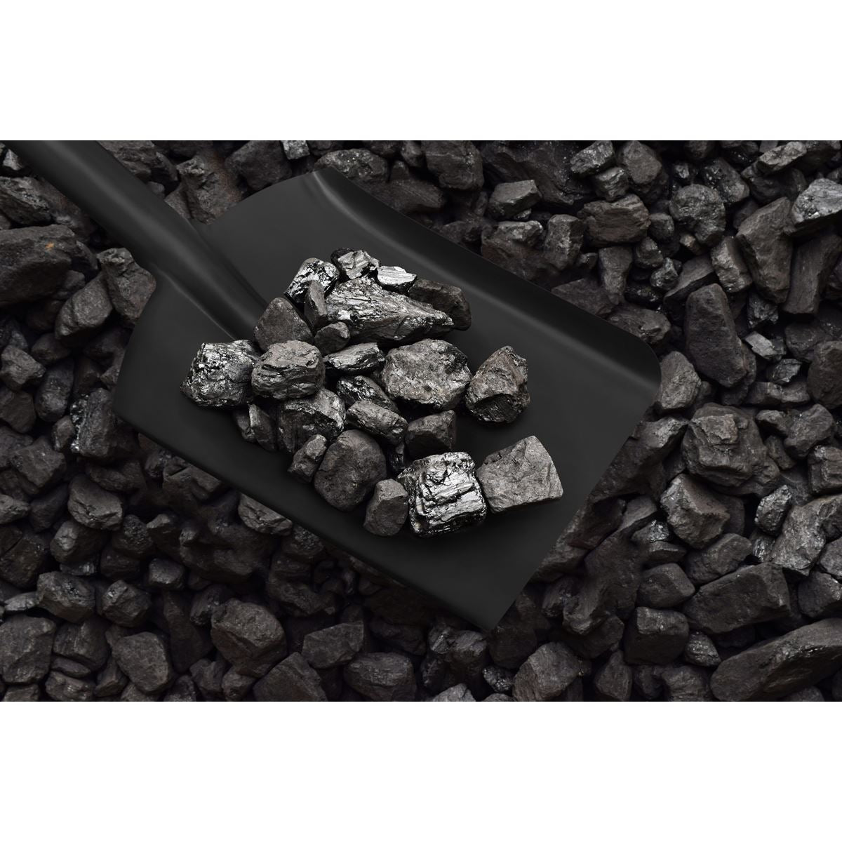Sealey Coal Shovel 6" with 185mm Handle