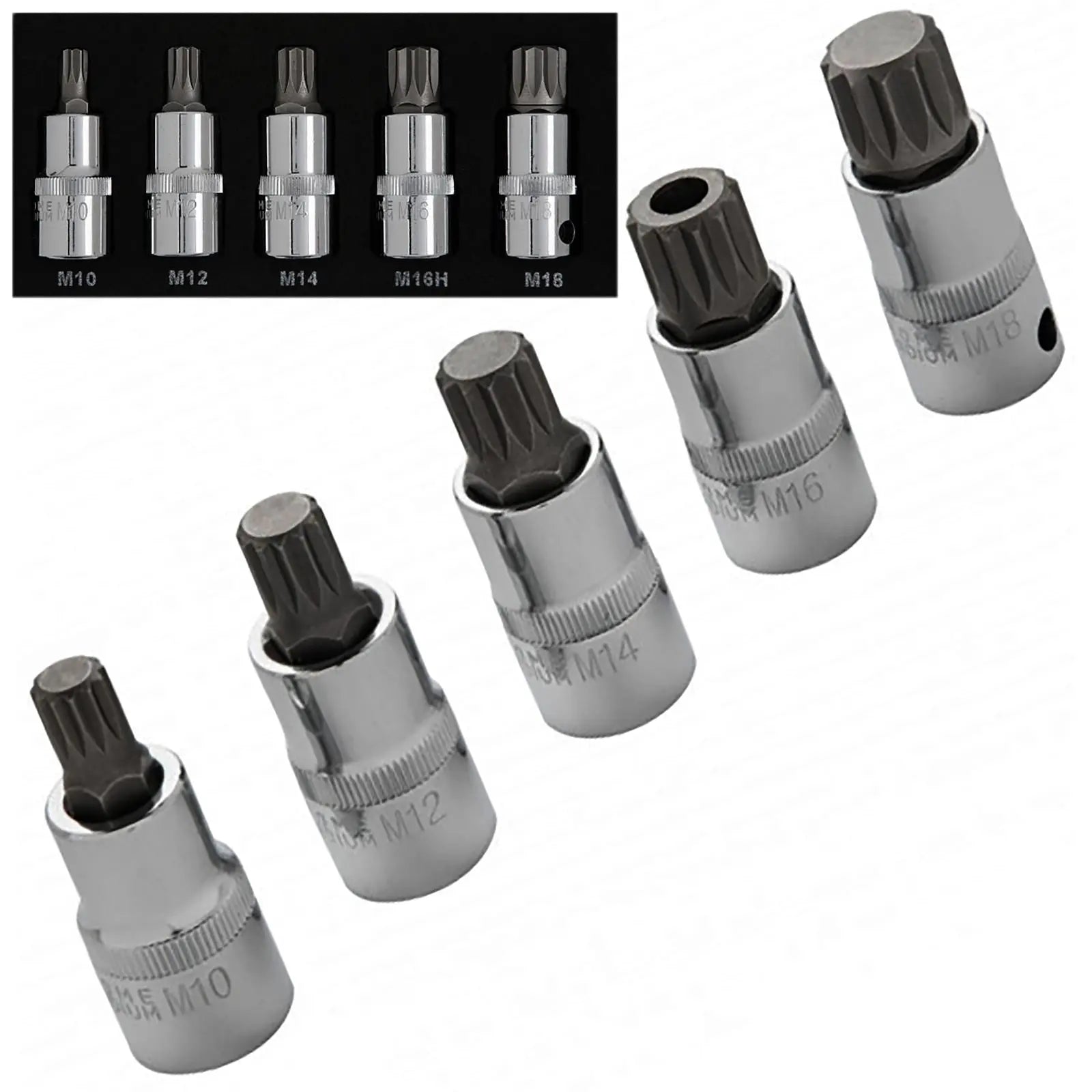 BlueSpot Spline Socket Bit Set in EVA Foam 5 Piece 1/2" Drive M10-M18 