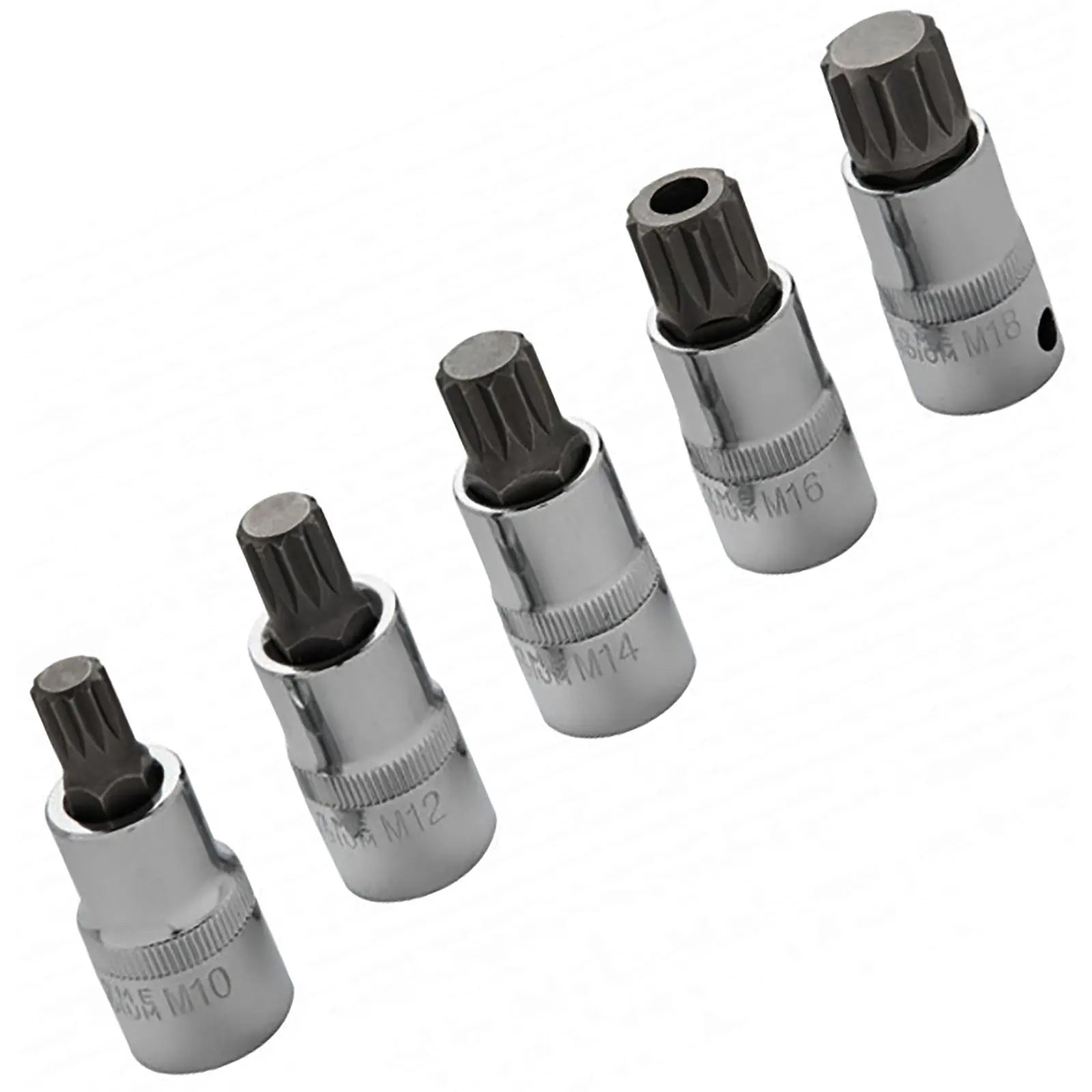 BlueSpot Spline Socket Bit Set in EVA Foam 5 Piece 1/2" Drive M10-M18 