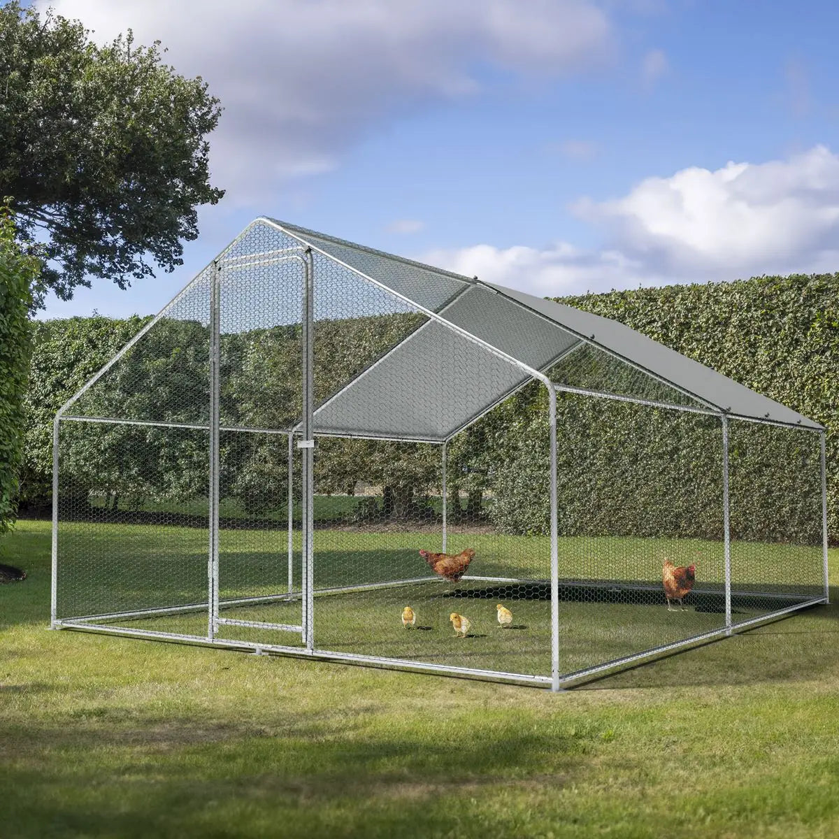 Dellonda 3 x 4 x 2m Walk-In Chicken Run, Galvanized Steel, Roof Cover, PVC Coated Chicken Wire  White Rose Tools