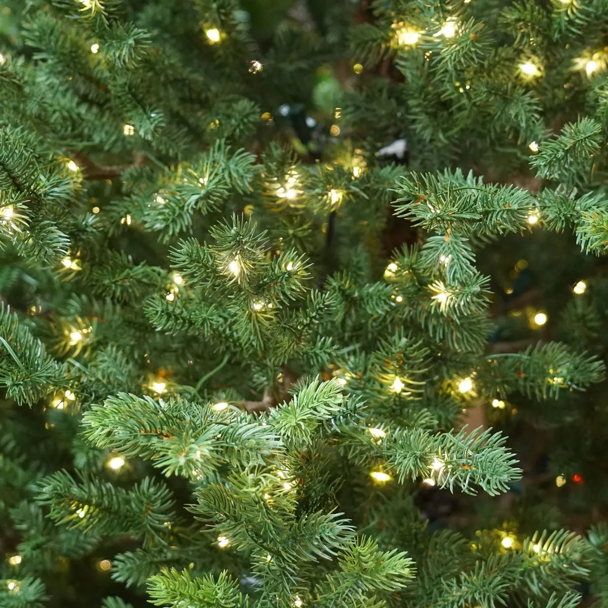 Dellonda Pre-Lit 7ft Hinged Christmas Tree with Warm White LED Lights & PE/PVC Tips  White Rose Tools