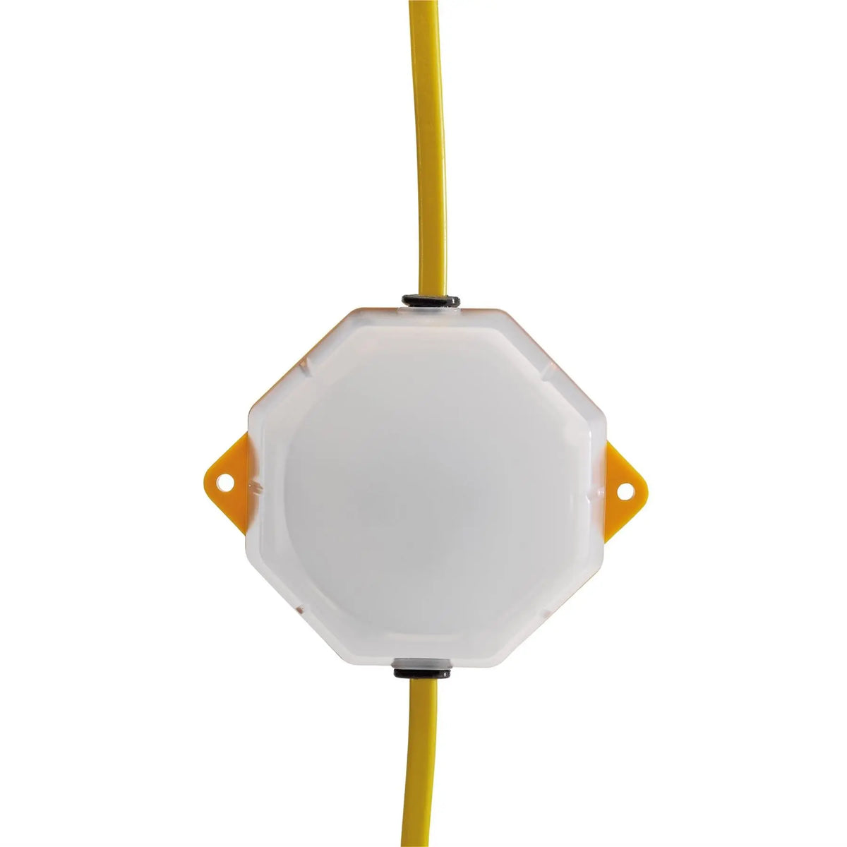 Draper 110V SMD LED Festoon String Lights 4W 3800 Lumens 22m (Set of 10) 90094  White Rose Tools