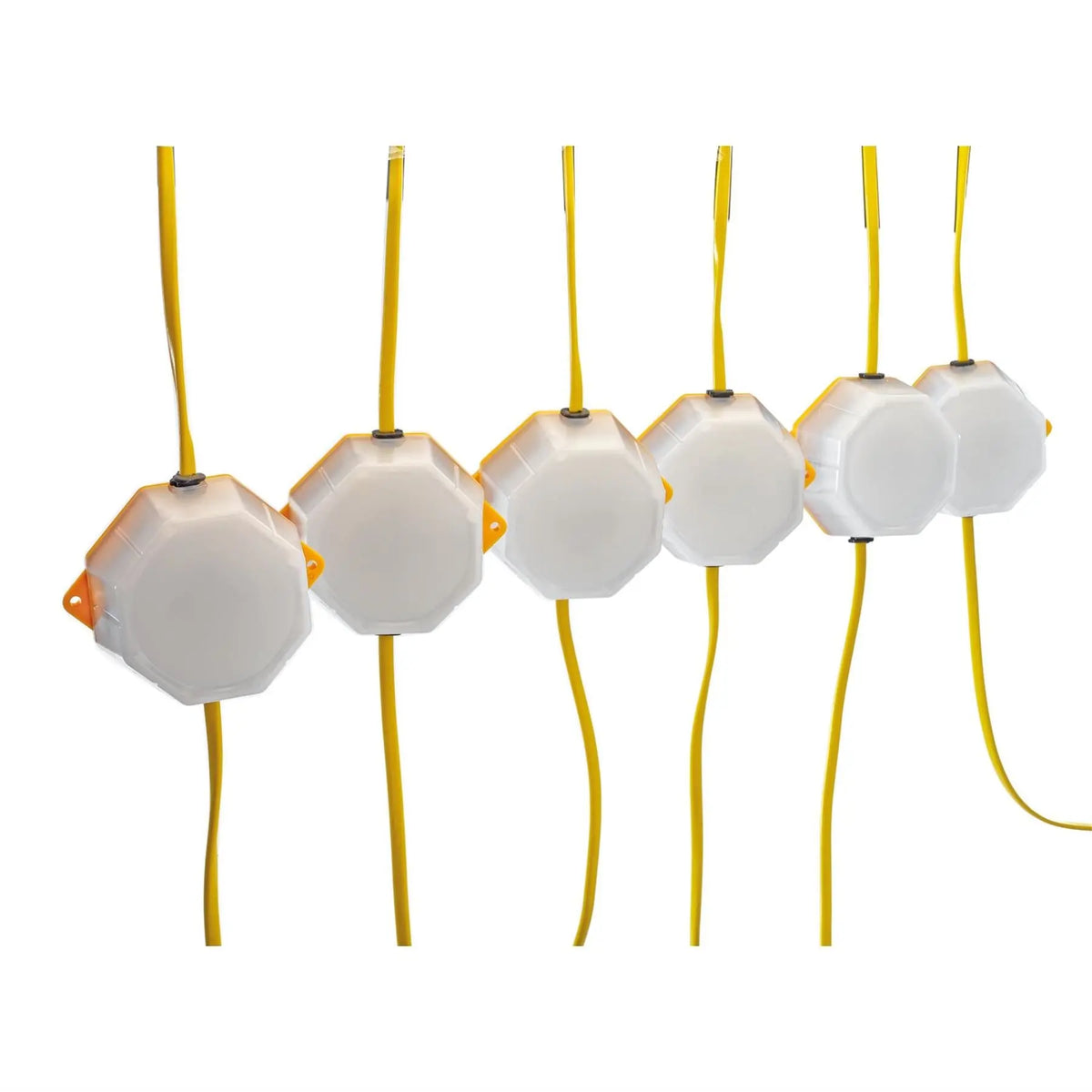 Draper 110V SMD LED Festoon String Lights 4W 3800 Lumens 22m (Set of 10) 90094  White Rose Tools