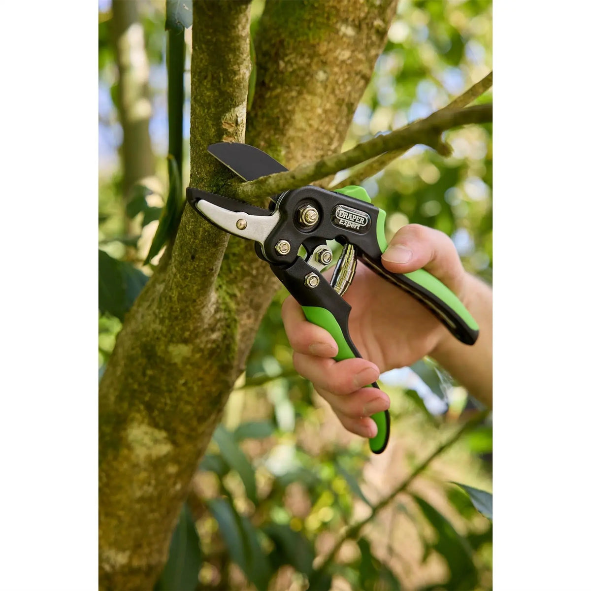 Draper Expert Anvil and Bypass Secateurs Set 200mm (2 Piece) 08986  White Rose Tools