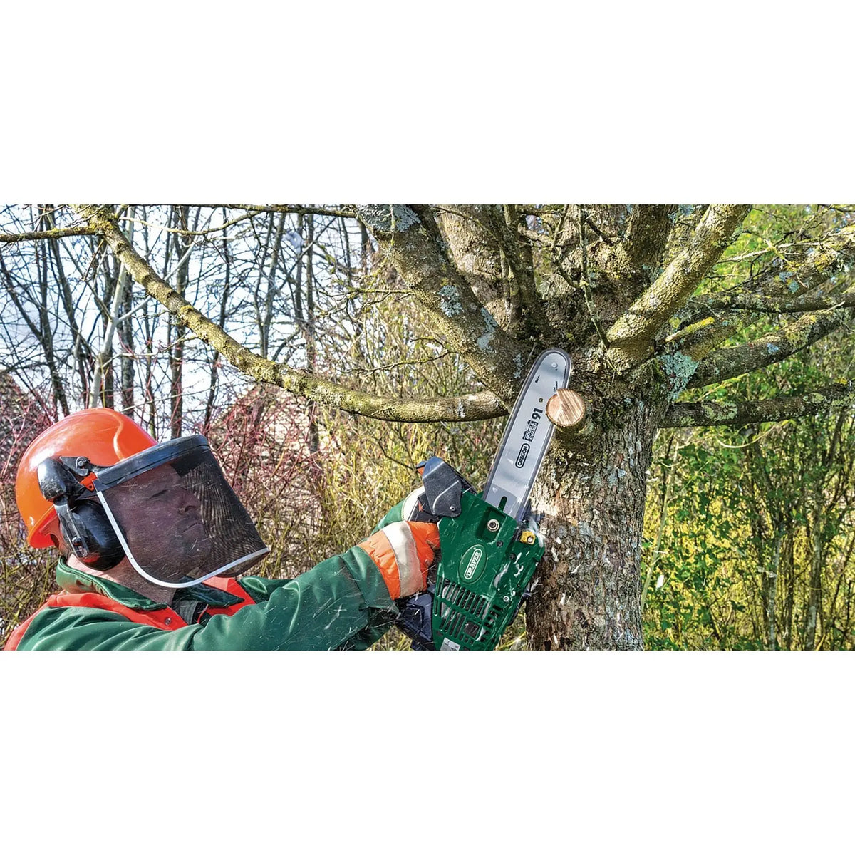Draper Petrol Chainsaw with Oregon® Chain and Bar 250mm 25.4cc 15042  White Rose Tools