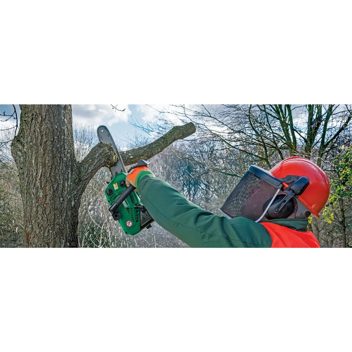 Draper Petrol Chainsaw with Oregon® Chain and Bar 250mm 25.4cc 15042  White Rose Tools