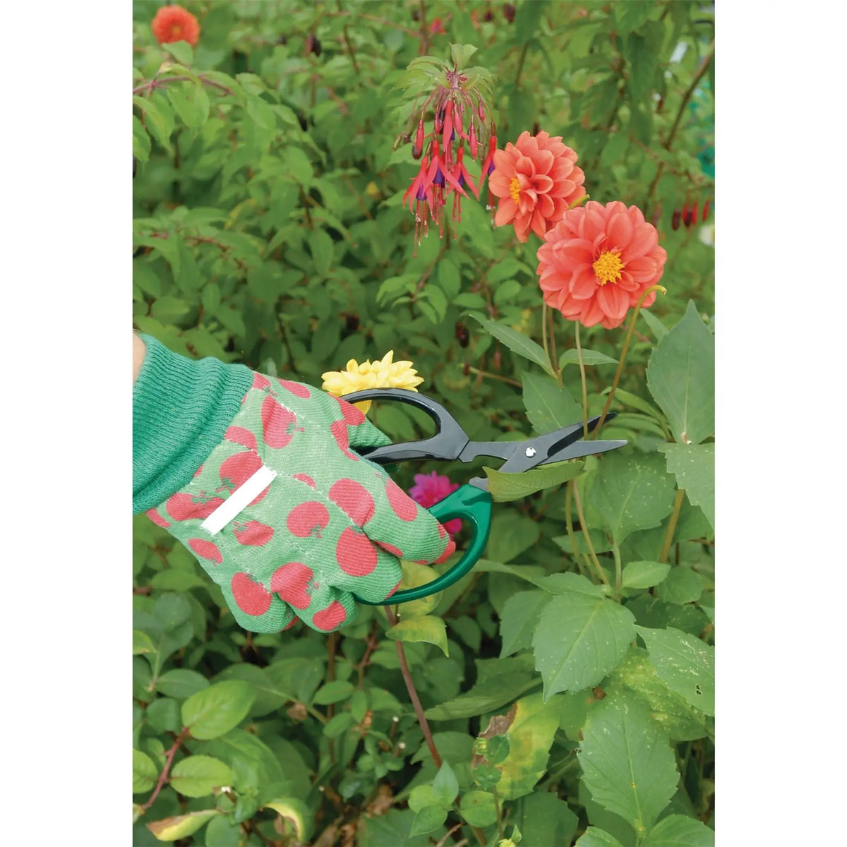 Draper Soft Grip Garden Scissor Set (2 Piece) 18299  White Rose Tools