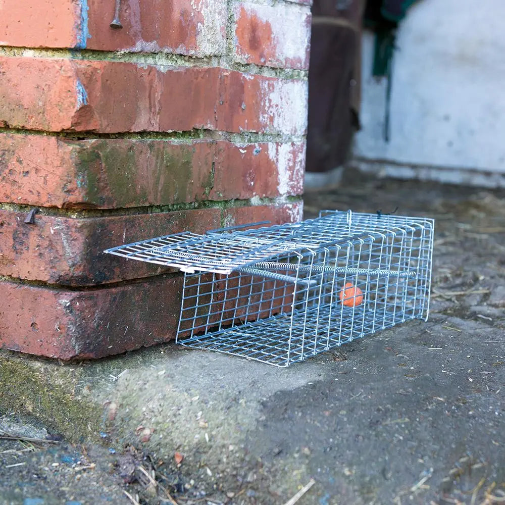 Fixman Rat Cage Trap 300 x 150 130mm 196052  White Rose Tools