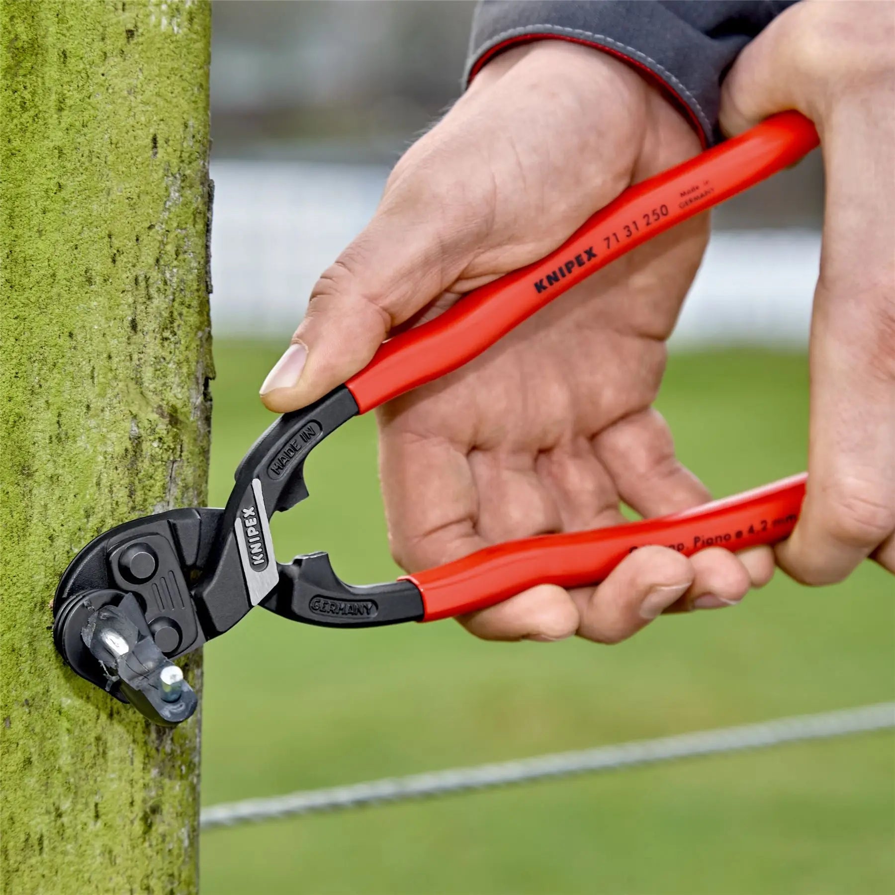 KNIPEX Compact Bolt Cutters CoBolt XL Cutting Pliers 250mm Plastic Coated Handles 71 31 250 SB  White Rose Tools