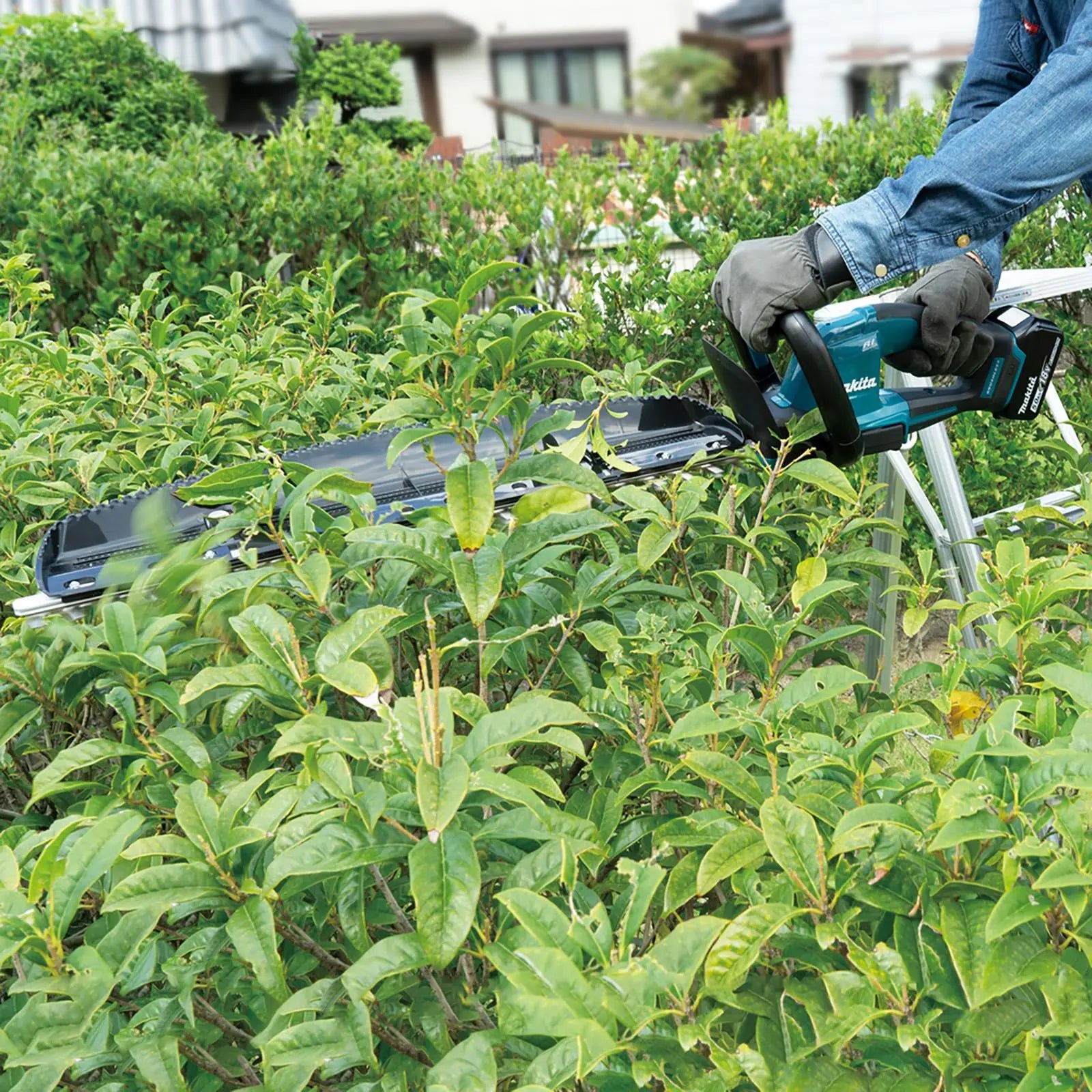 Makita Hedge Trimmer 60cm 18V LXT Li-ion Brushless Cordless Garden Bush Cutter Cutting Bare Unit Body Only DUH606Z  White Rose Tools