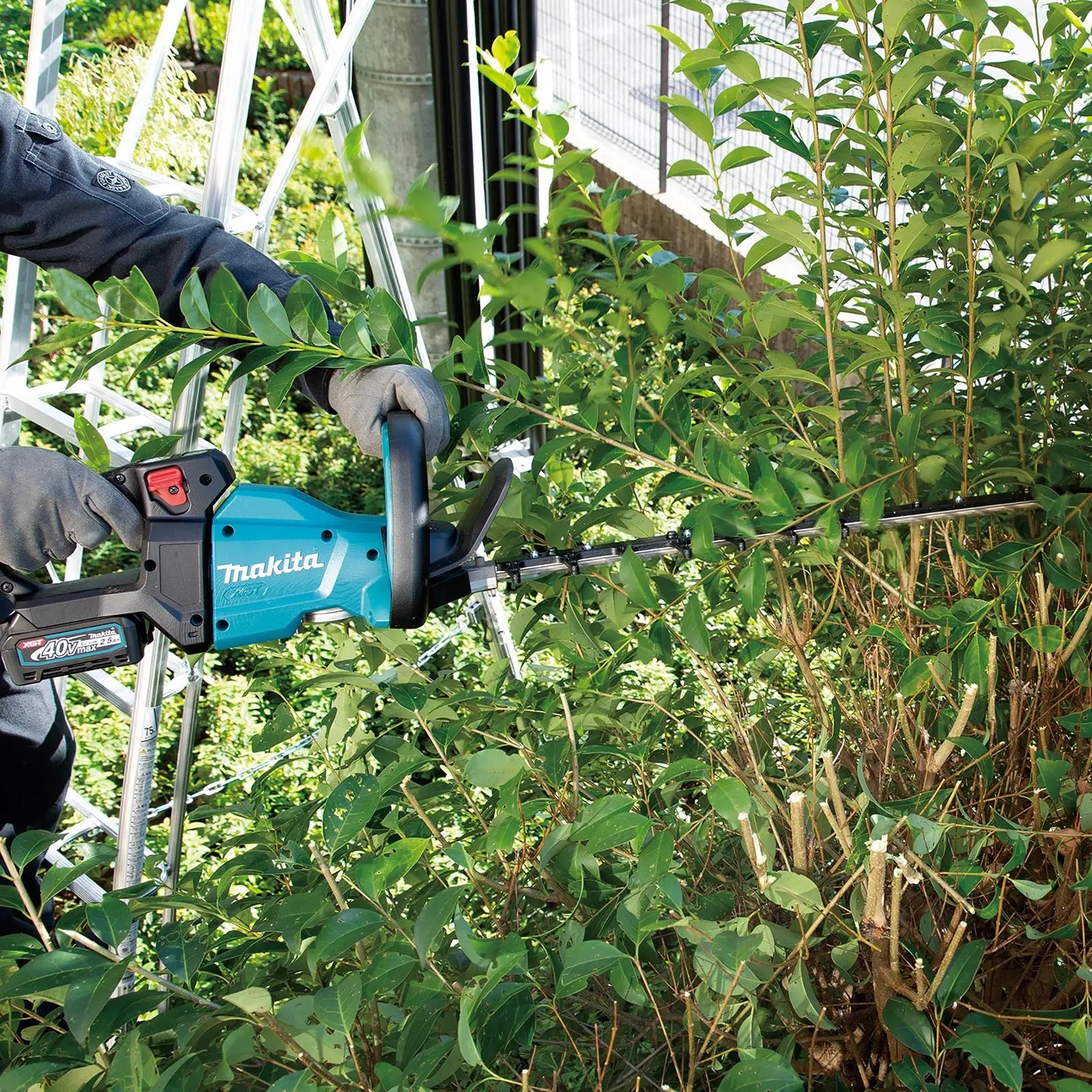 Makita Hedge Trimmer 60cm 40V XGT Li-ion Brushless Cordless Garden Bush Cutter Cutting Bare Unit Body Only UH006GZ  White Rose Tools