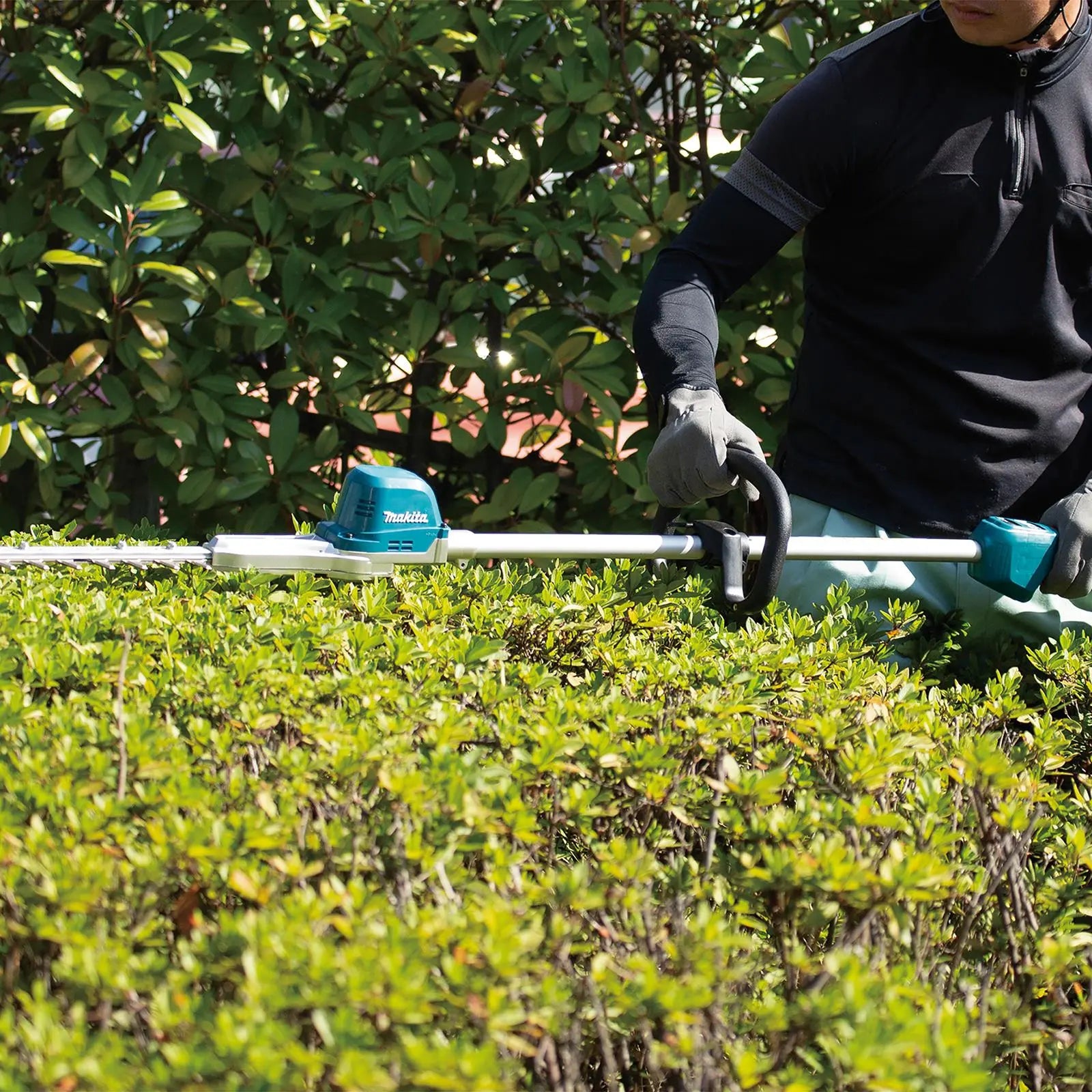 Makita Pole Hedge Trimmer 60cm 18V LXT Li-ion Brushless Cordless Garden Bush Cutter Cutting Bare Unit Body Only DUN600LZ  White Rose Tools