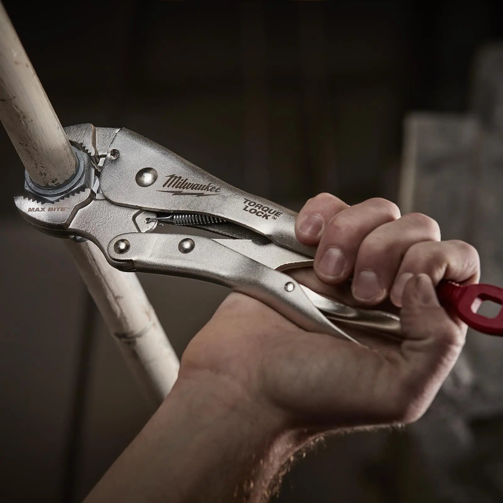 Milwaukee TORQUE LOCK MAXBITE Curved Locking Pliers 250mm 10in 