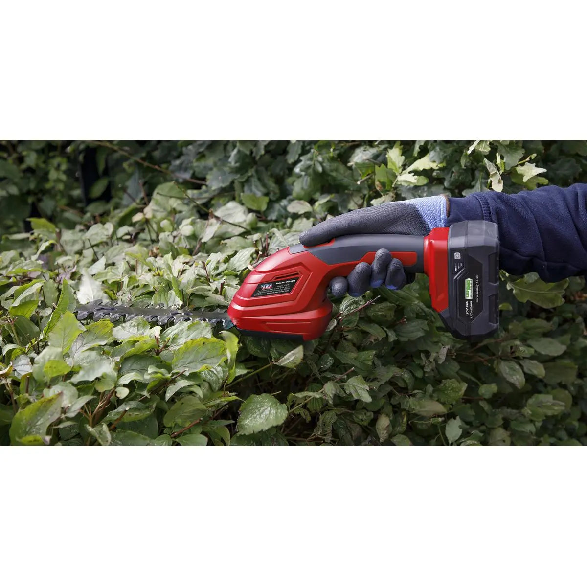 Sealey 2 x 20V SV20 Series Gardening/Pruning Cleaning Combo Kit  White Rose Tools