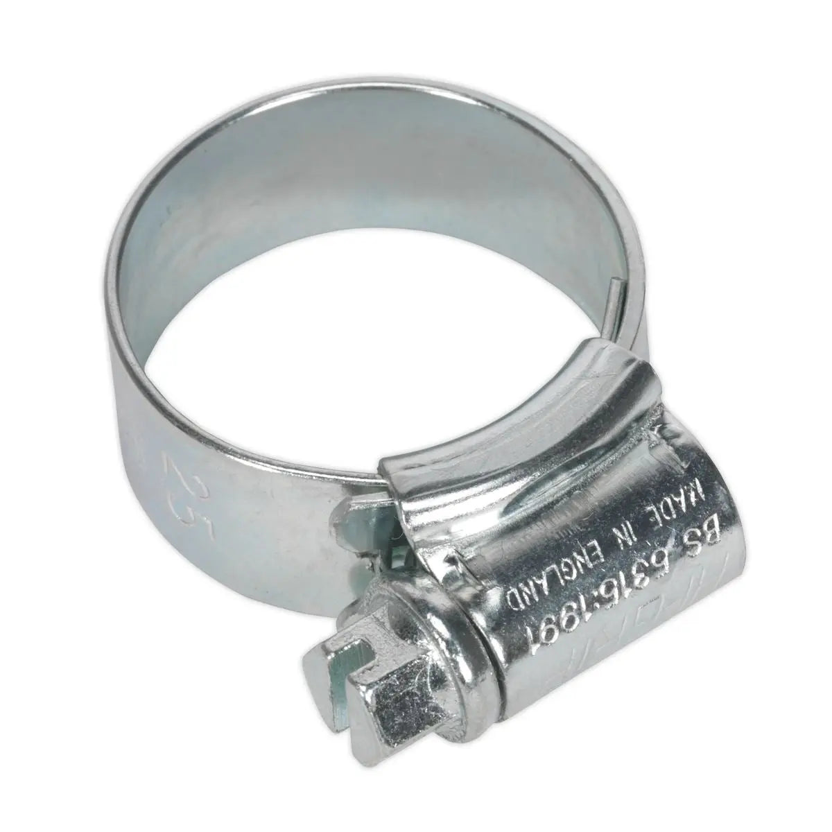 Sealey 20 Pack Hi-Grip Hose Clips (17-25mm x 12mm) 