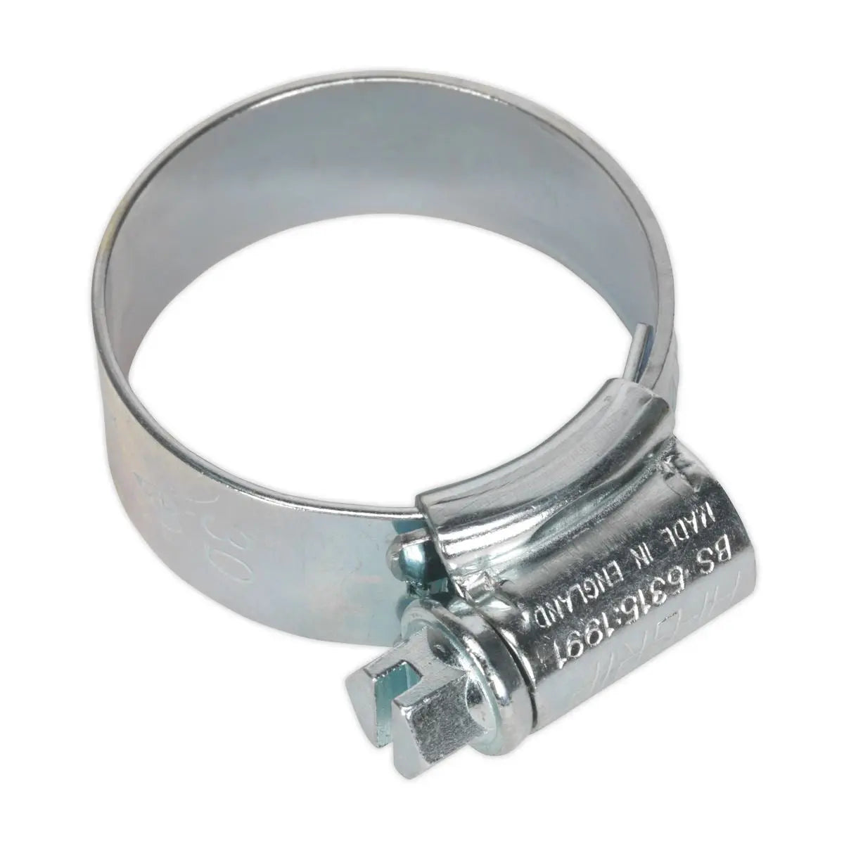 Sealey 20 Pack Hi-Grip Hose Clips (22-30mm x 12mm) 