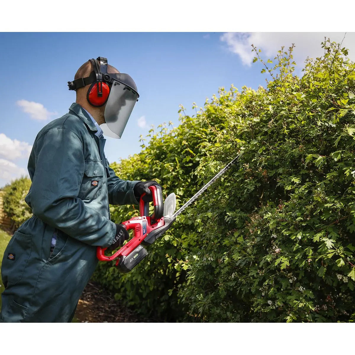 Sealey 20V Cordless 520mm Hedge Trimmer Body Only 
