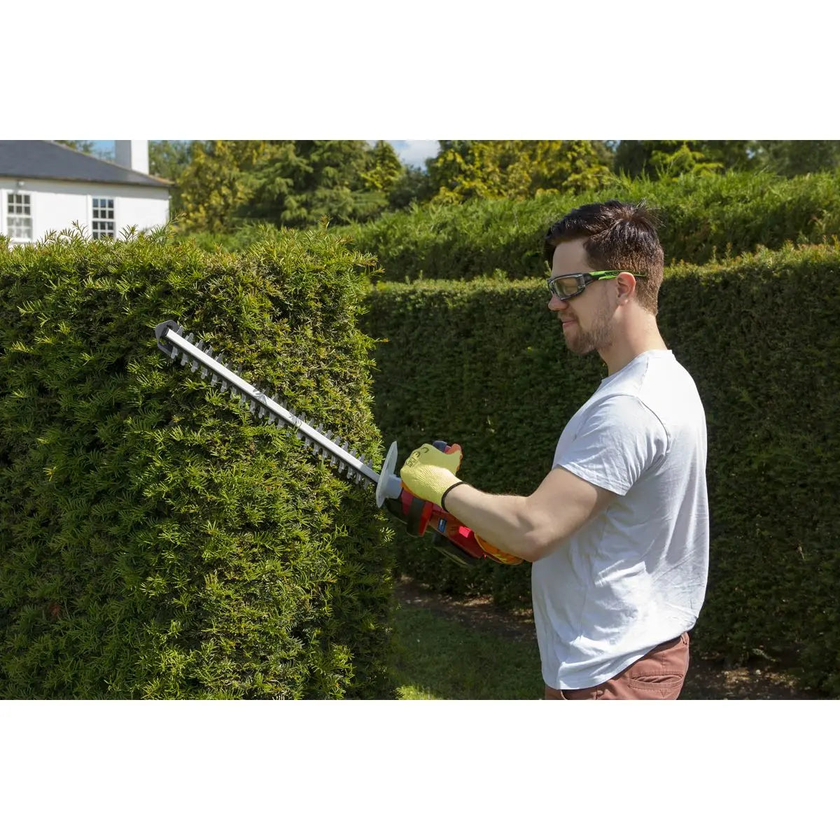 Sealey 20V Cordless 520mm Hedge Trimmer Kit 4Ah Battery and Charger 
