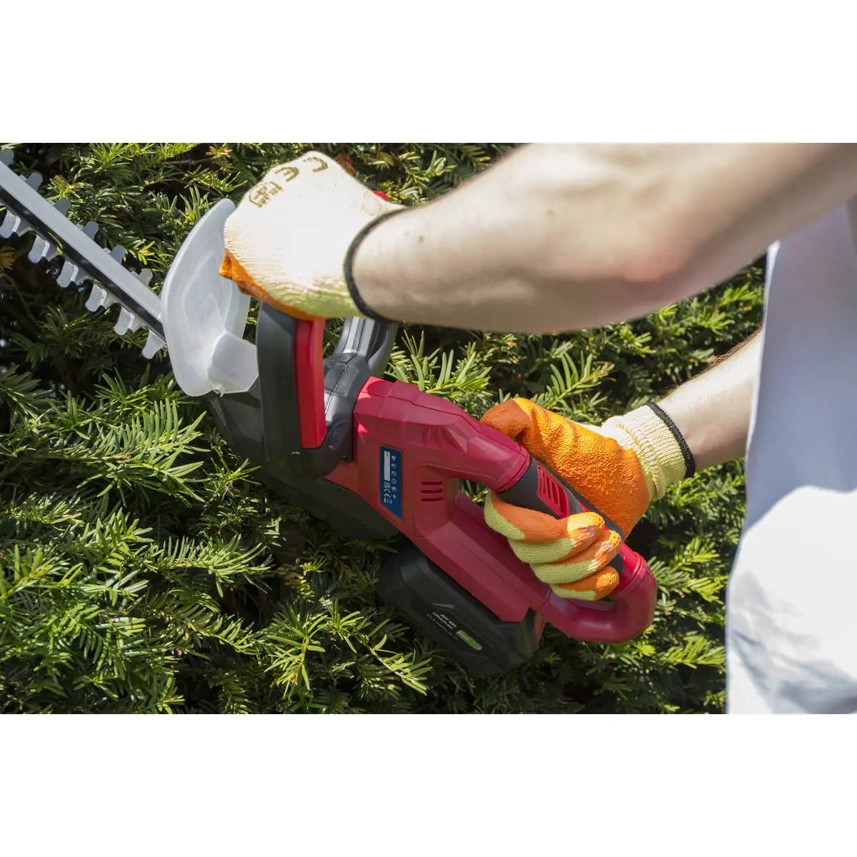 Sealey 20V Cordless 520mm Hedge Trimmer Kit 4Ah Battery and Charger 