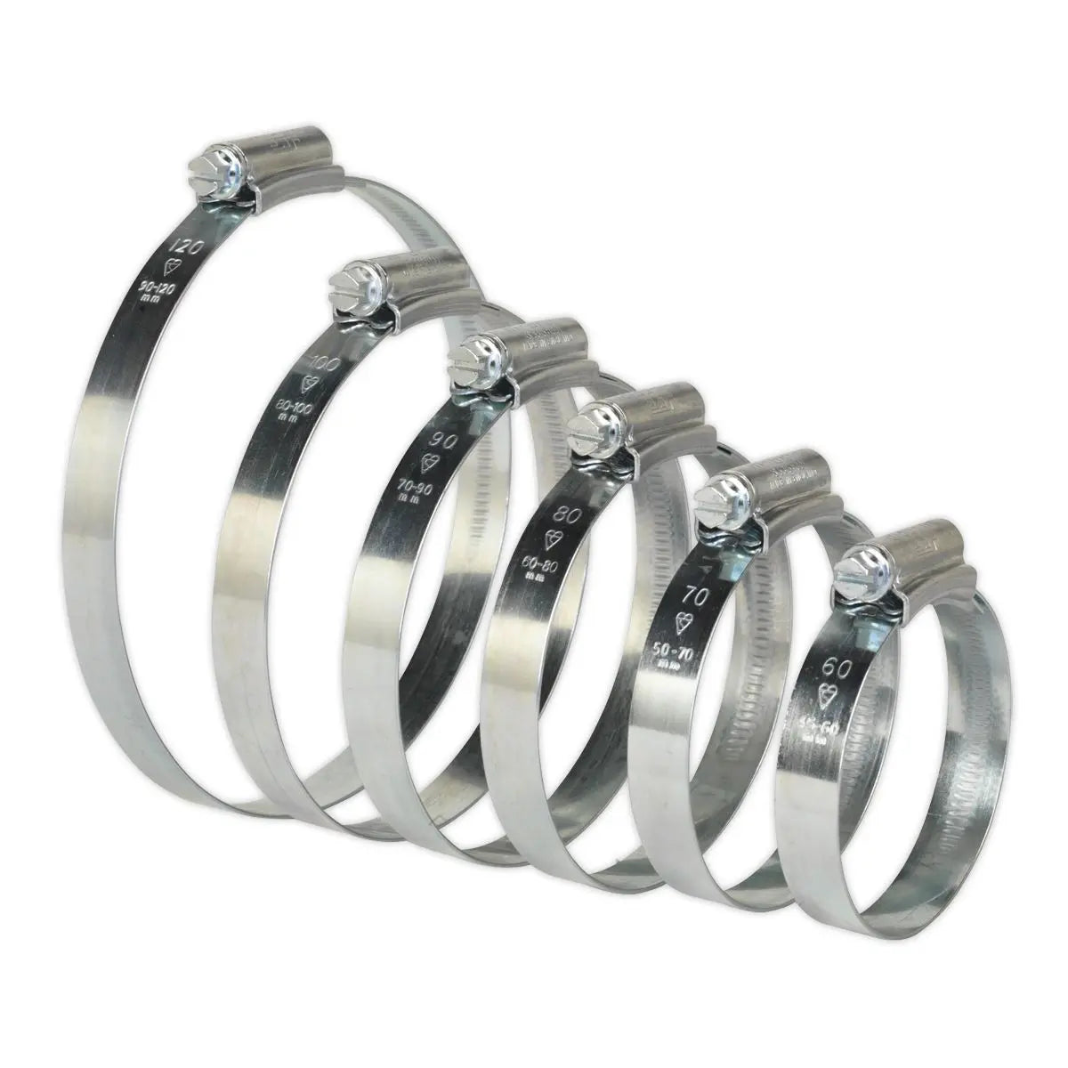 Sealey 26 Pack Hi-Grip Assorted Hose Clips 