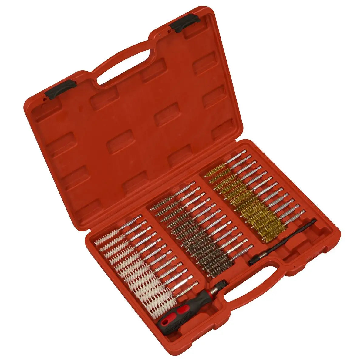 Sealey 38pc Cleaning Brush Set Injector Bore 