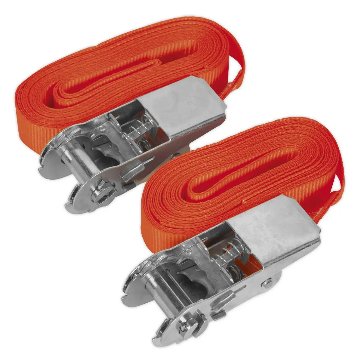 Sealey 500kg Ratchet Tie Down 25mm x 4.5m - Pair Cargo Lash Self Securing 