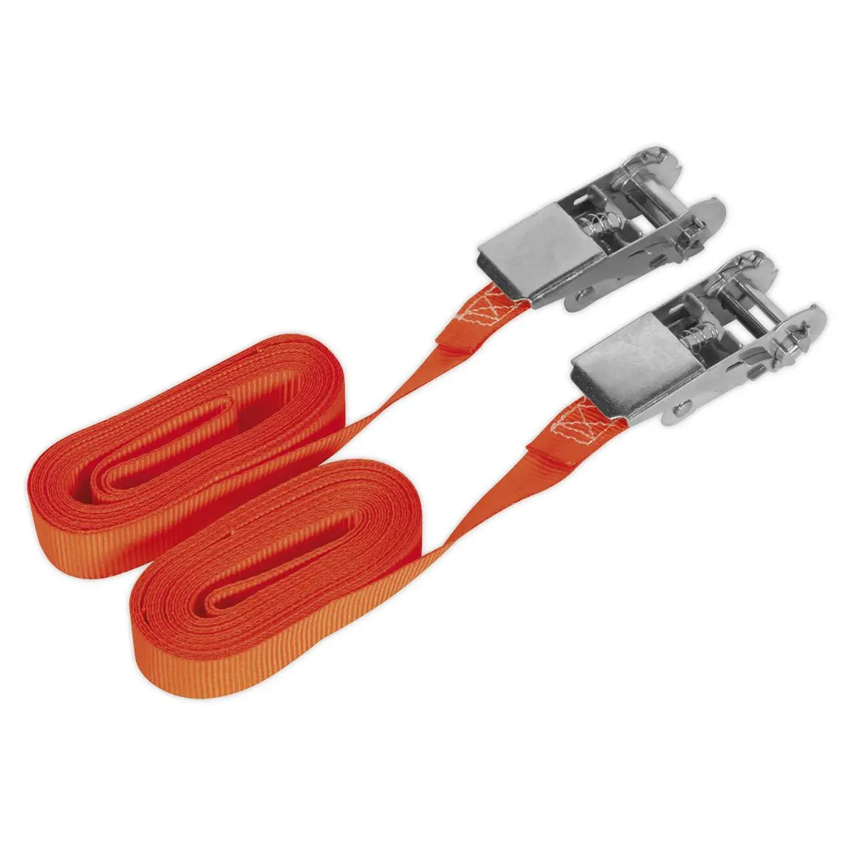 Sealey 500kg Ratchet Tie Down 25mm x 4.5m - Pair Cargo Lash Self Securing 
