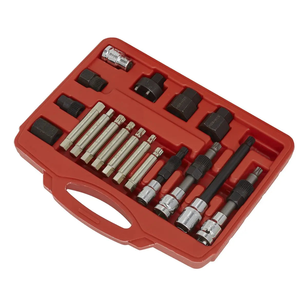 Sealey Alternator Freewheel Pulley Removal Set 18pc 