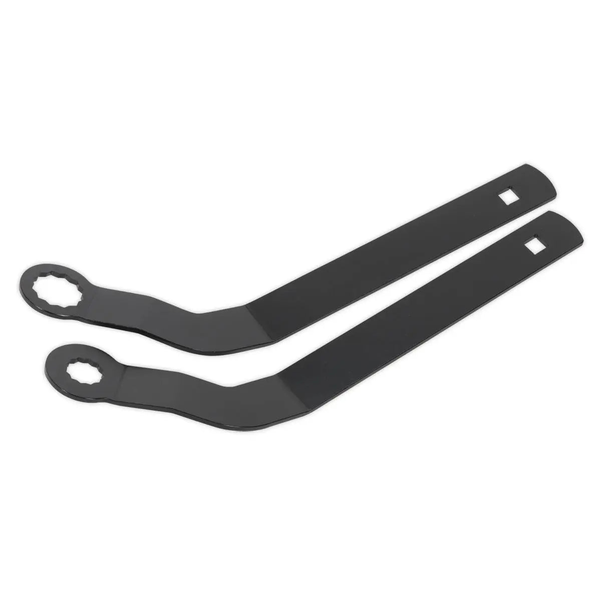 Sealey Auxiliary Belt Tensioner Spanner Set - for BMW Mini 