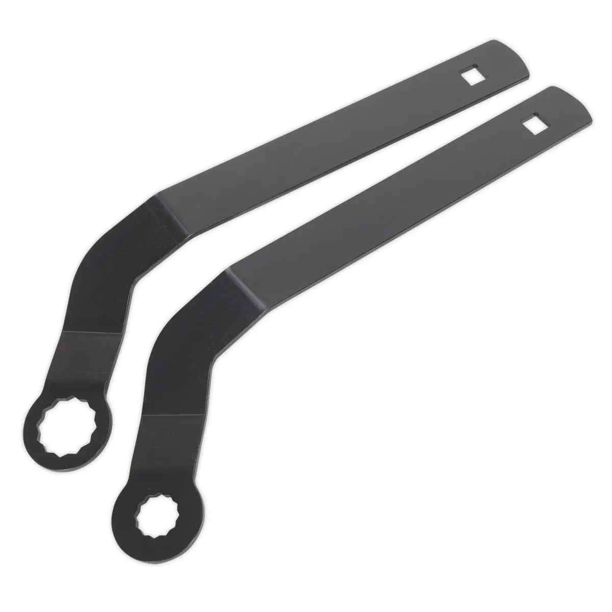 Sealey Auxiliary Belt Tensioner Spanner Set - for BMW Mini 