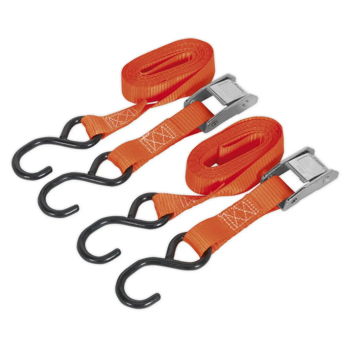 Sealey Cam Buckle Strap 25mm x 2.5m Polyester Webbing with S-Hooks 250kg Breaking Strength 