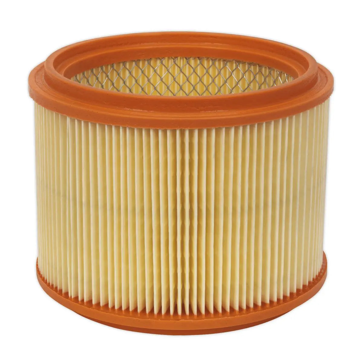 Sealey Cartridge Filter M-Class 