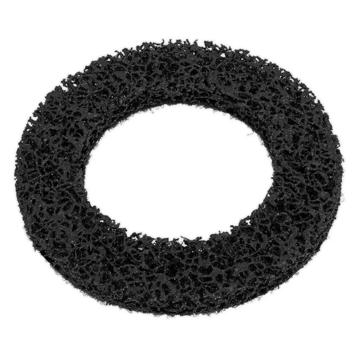Sealey Cleaning Disc for VS8001 