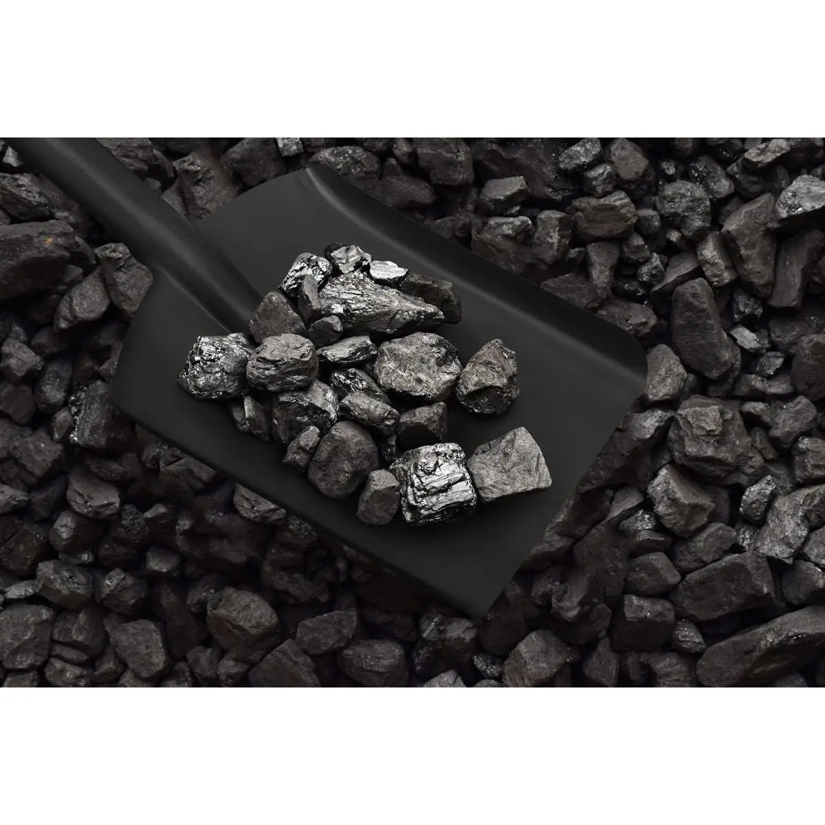 Sealey Coal Shovel 6" with 185mm Handle 