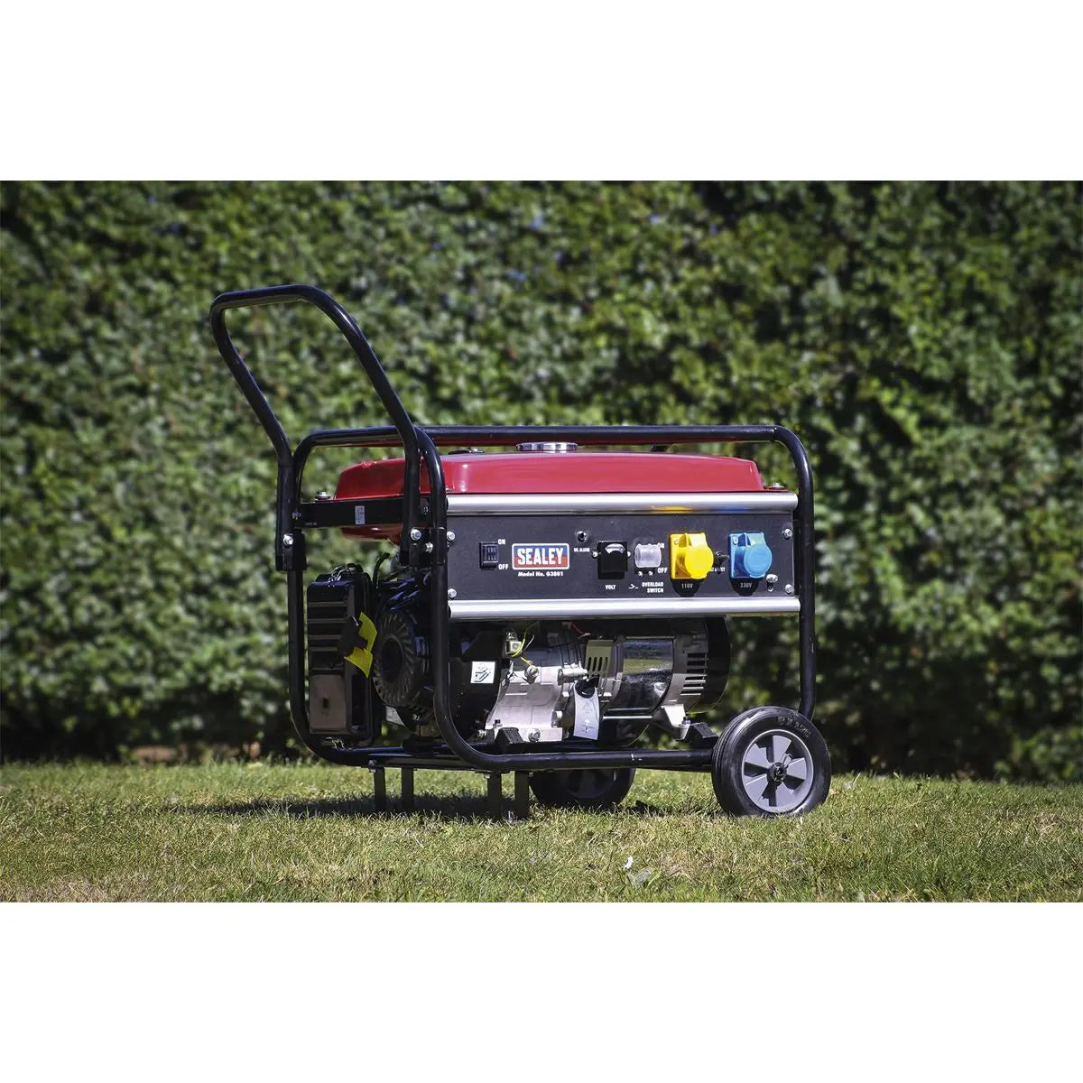 Sealey Generator 5500W 110/230V 13hp 