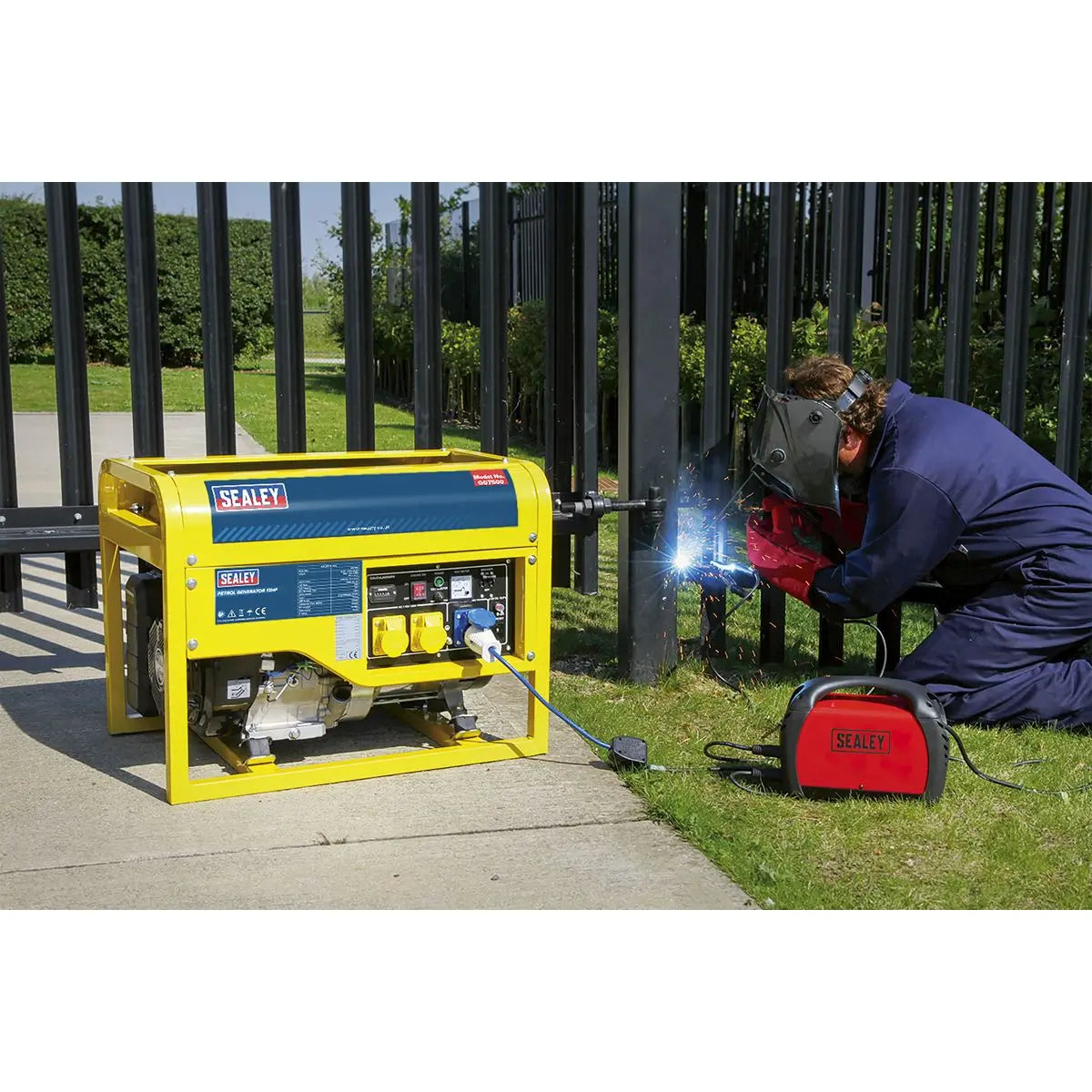 Sealey Generator 6000W 110/230V 13hp 