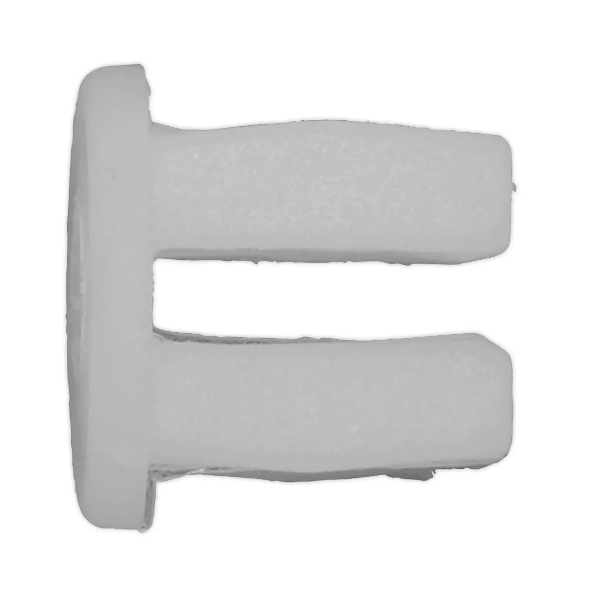 Sealey Locking Nut, Ø10mm x 10mm, Universal - Pack of 20 
