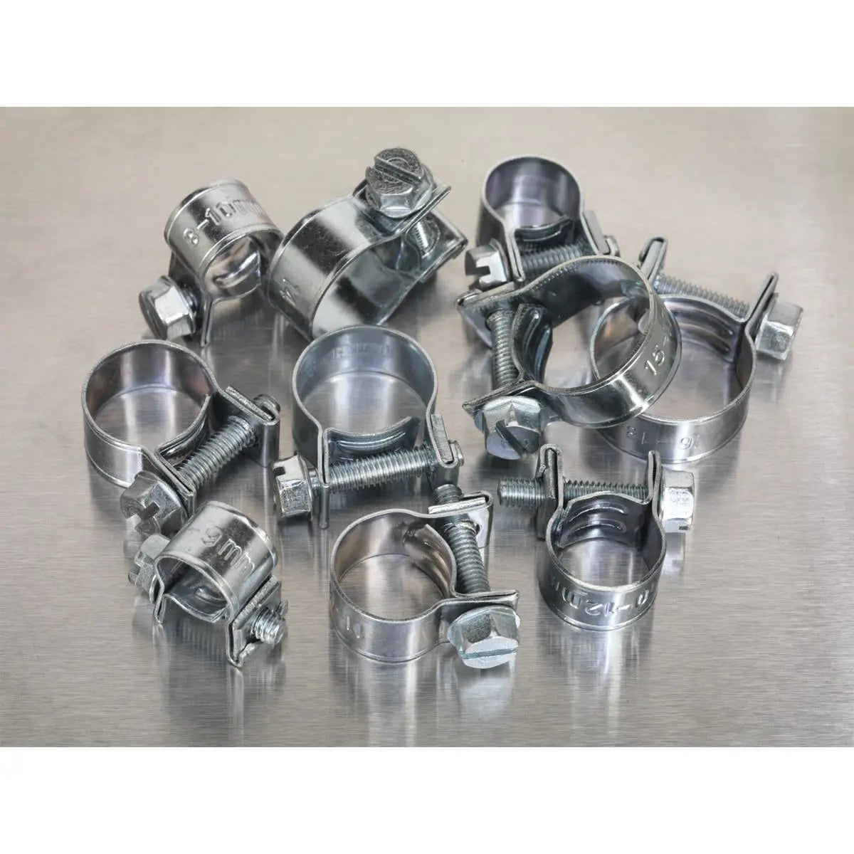 Sealey Mini Hose Clip Assortment 100pc 