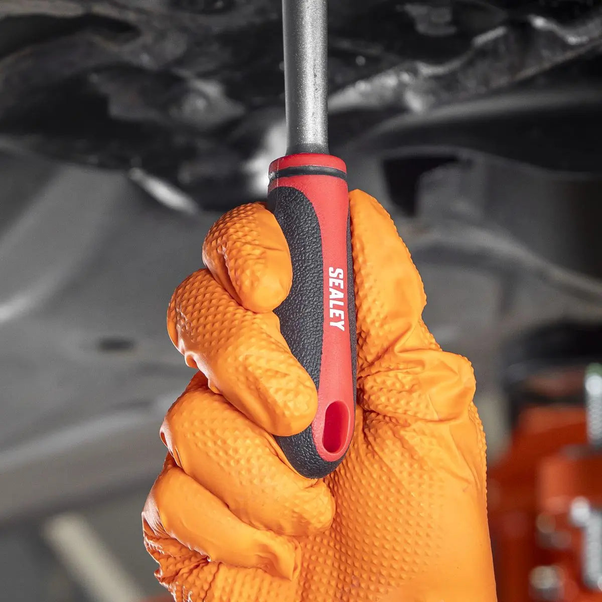 Sealey Oil Drain Plug Key Set 3/8"Sq Drive 20pc  White Rose Tools