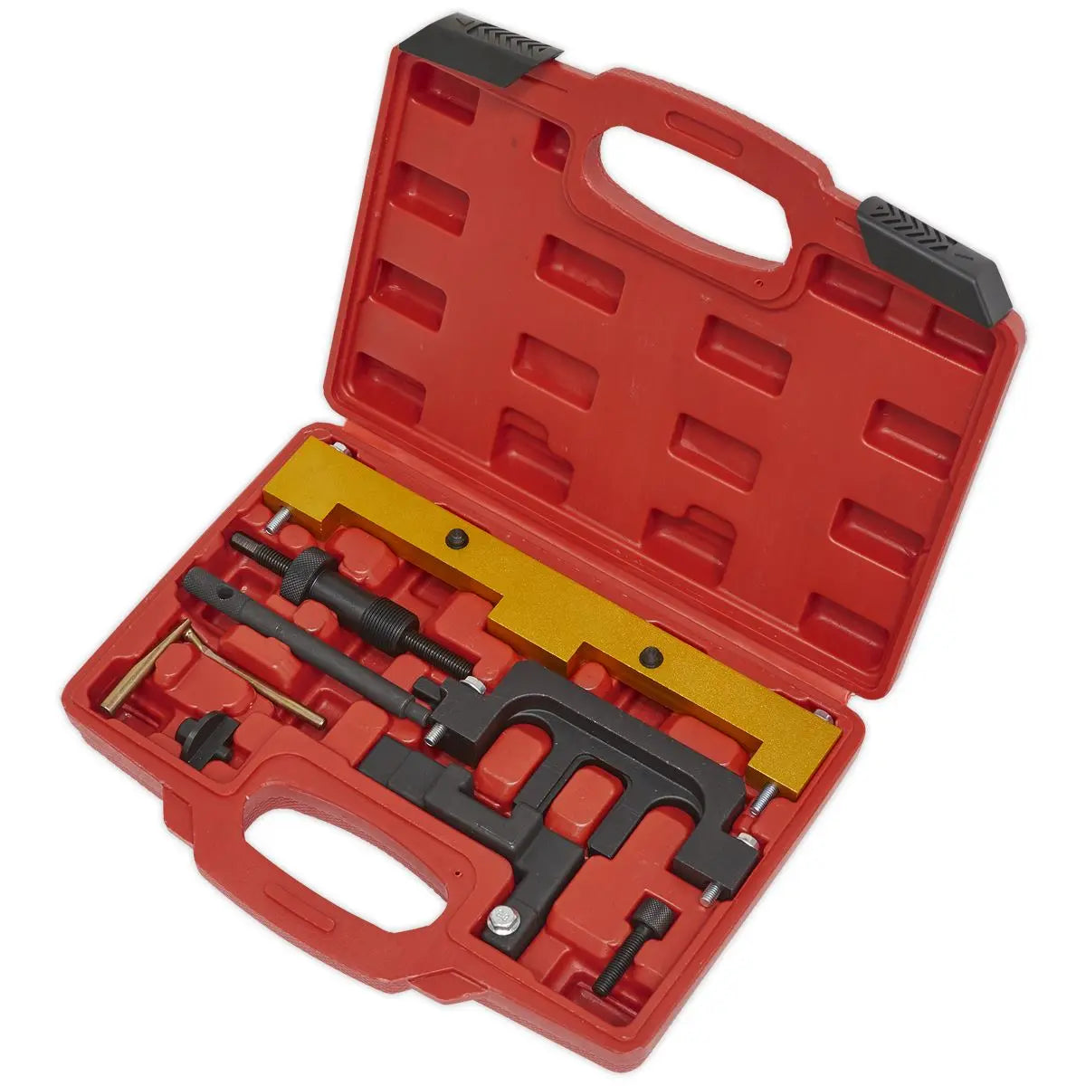 Sealey Petrol Engine Timing Tool Kit - for BMW 1.8/2.0 N42/N46/N46T - Chain Drive 
