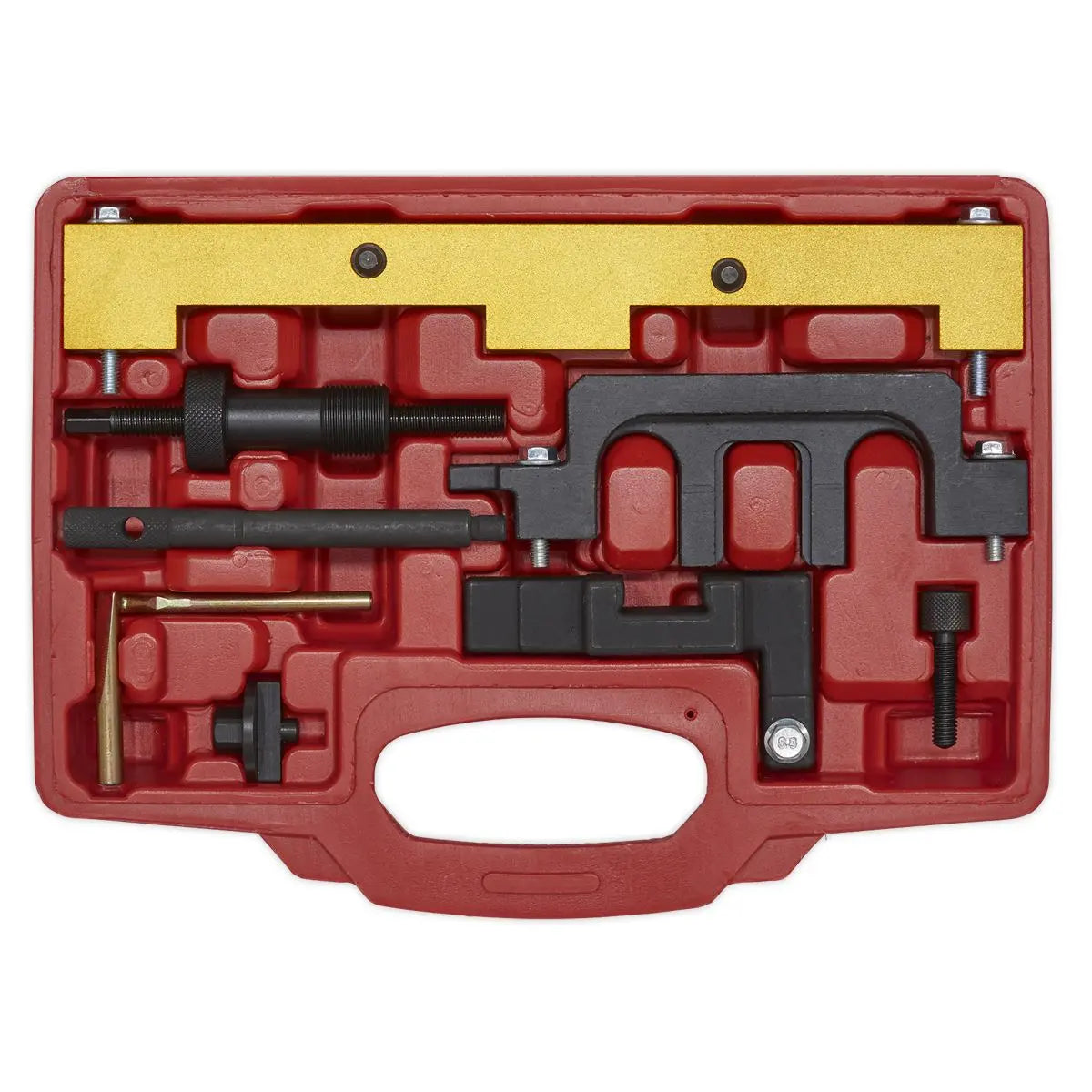 Sealey Petrol Engine Timing Tool Kit - for BMW 1.8/2.0 N42/N46/N46T - Chain Drive 