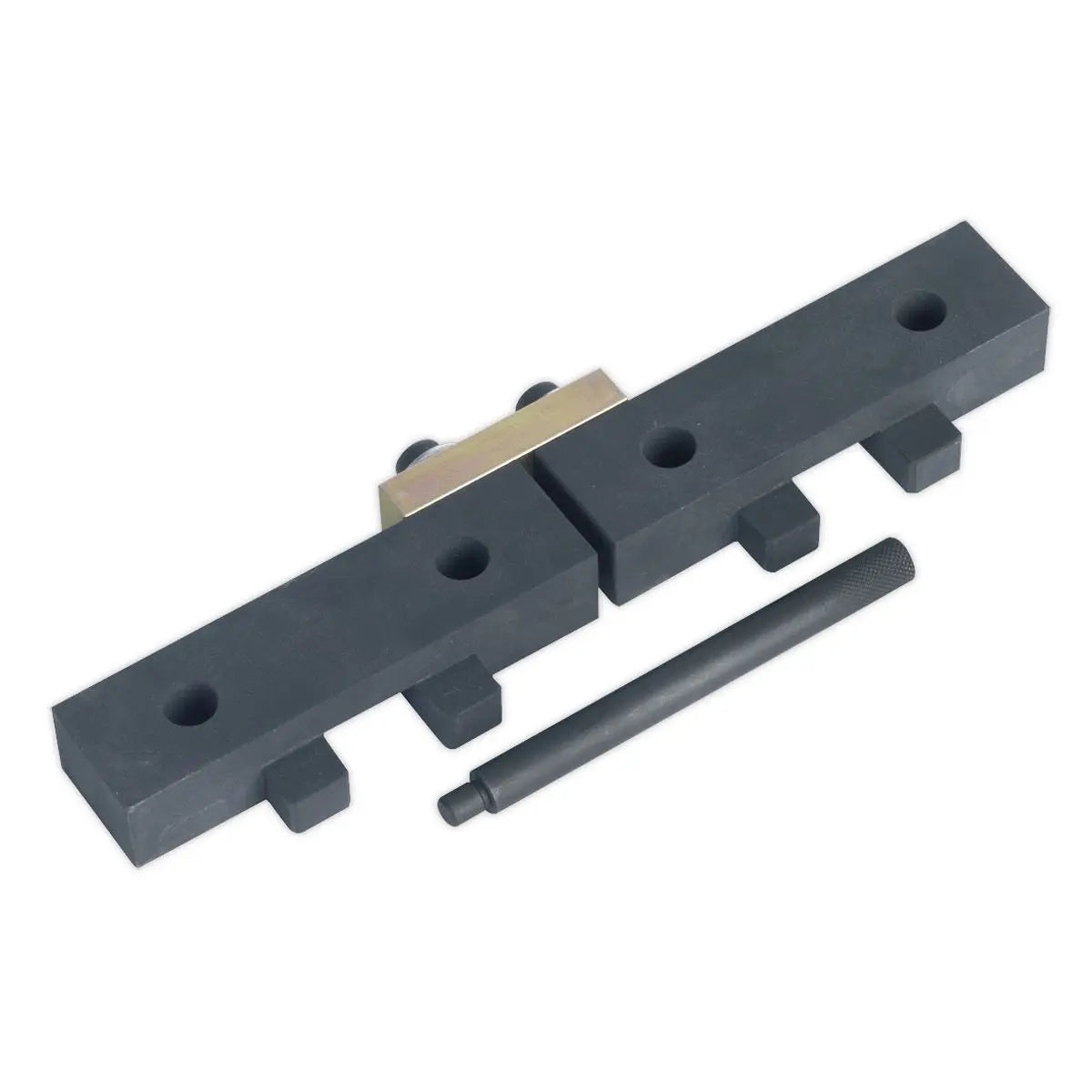 Sealey Petrol Engine Timing Tool Kit - for BMW M42/M50/M52/M52TU/M54/M56 - Chain Drive 