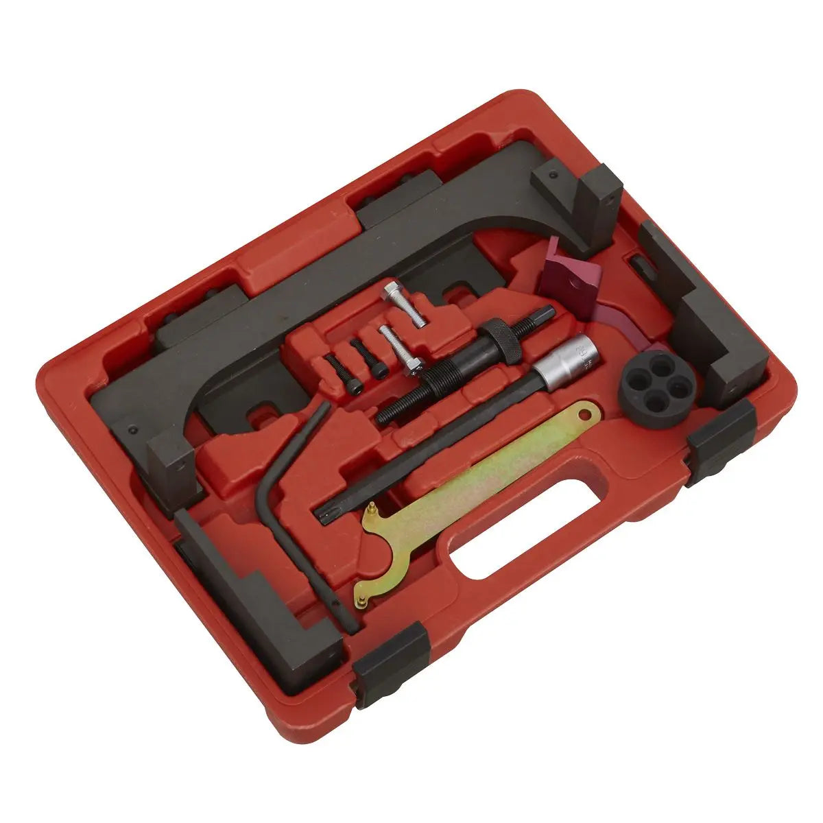 Sealey Petrol Engine Timing Tool Kit - for BMW, BMW Mini 1.2/1.5/2.0/3.0 - Chain Drive 