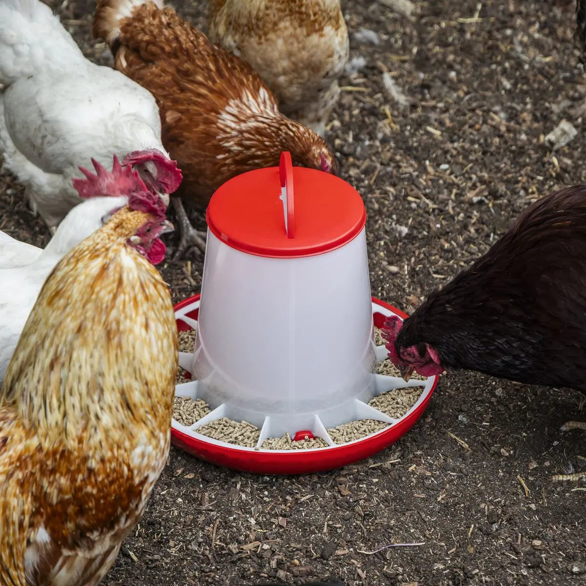 Sealey Poultry Feeder 6kg  White Rose Tools